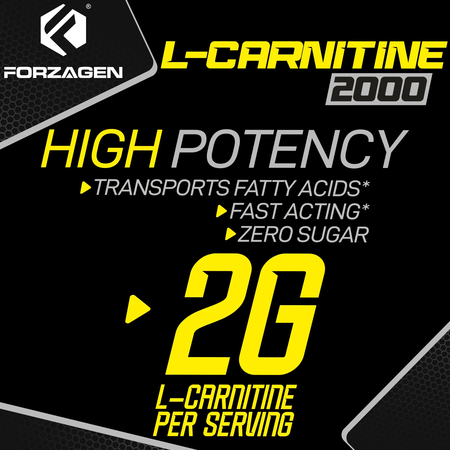Forzagen L- Carnitine 2000 - Liquid L Carnitine with Vitamin B6 | Acetyl L-Carnitine | L-Tartrate | 30 Servings - Image 25