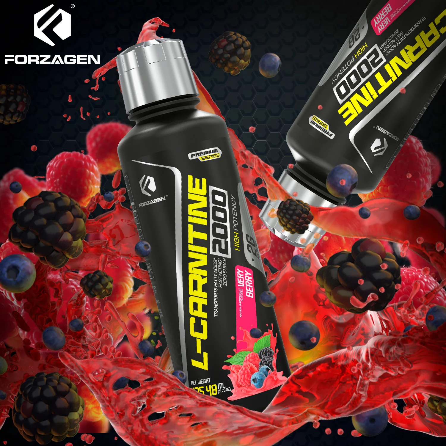 Forzagen L- Carnitine 2000 - Liquid L Carnitine with Vitamin B6 | Acetyl L-Carnitine | L-Tartrate | 30 Servings - Image 28