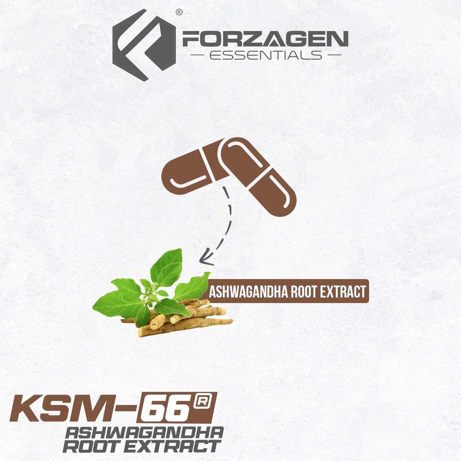 KSM - 66 Ashwagandha Root Extract 60 Capsules - Image 4